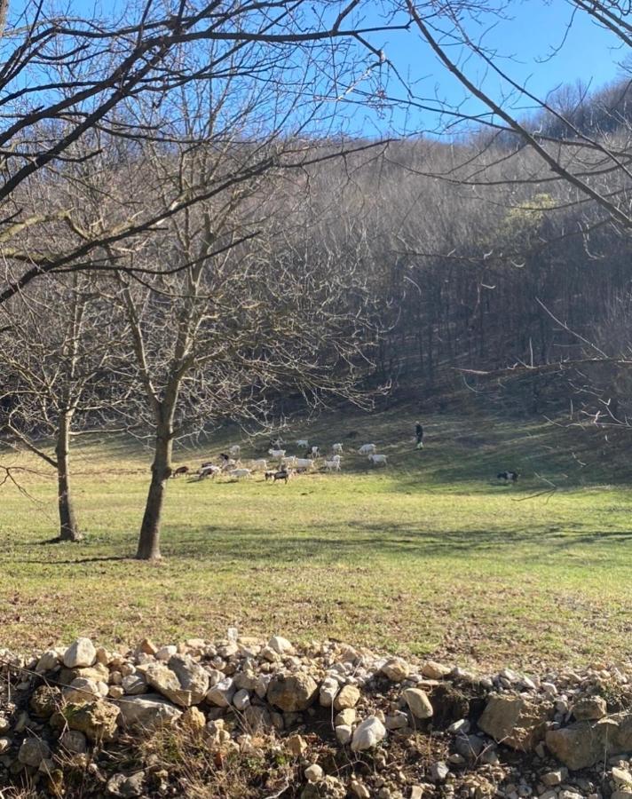 Soko Holiday Home Bihać エクステリア 写真