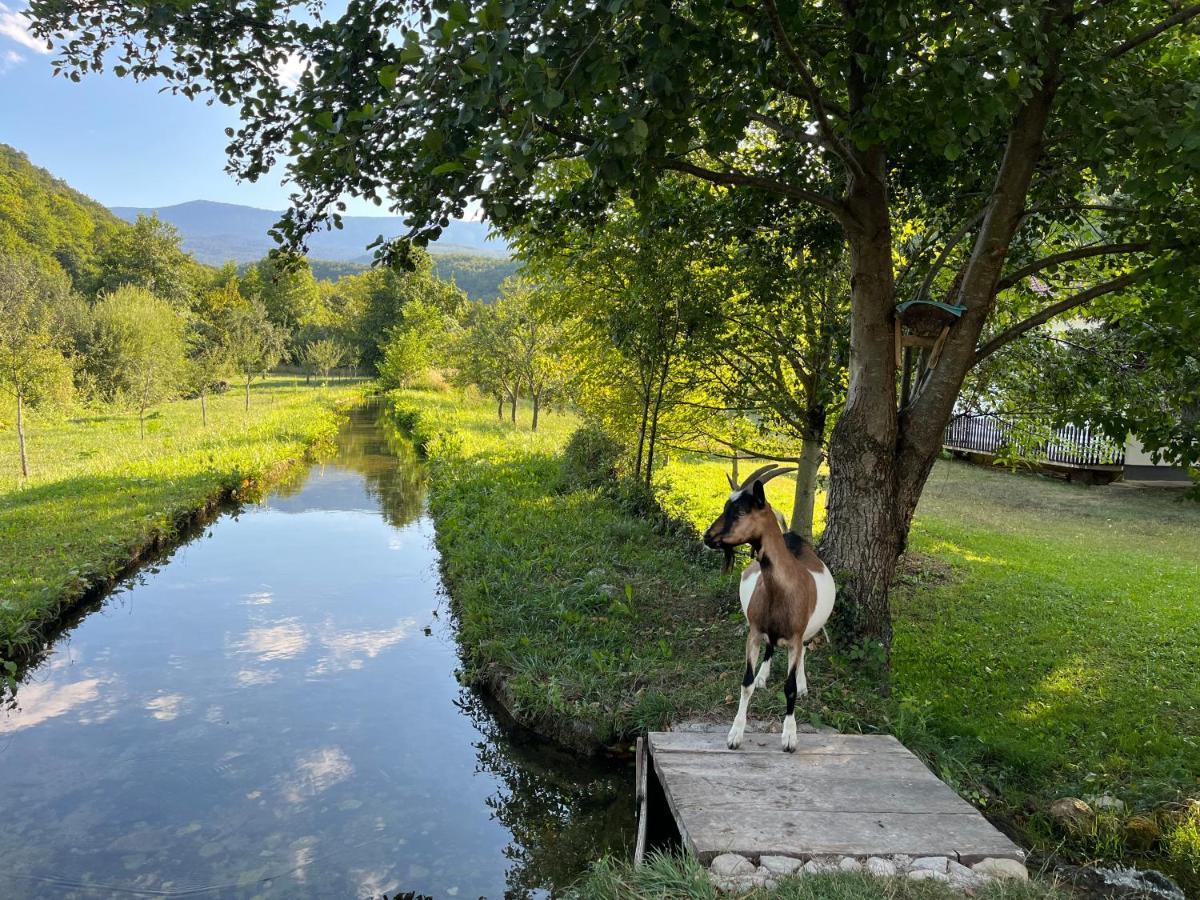 Soko Holiday Home Bihać エクステリア 写真